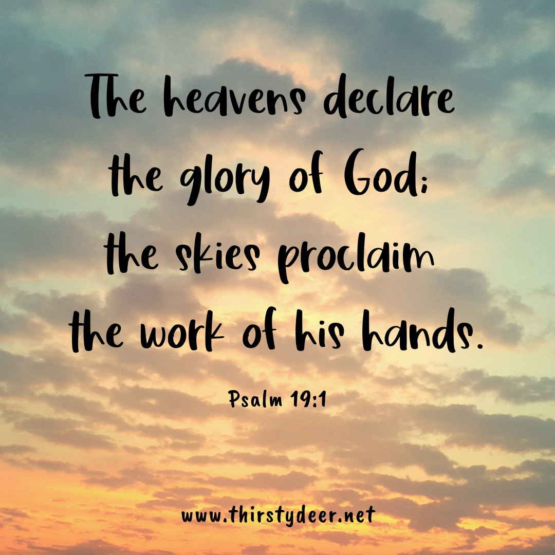 Psalms 19:1 The heavens declare the glory of God; the skies proclaim the  work of his hands., New International Version (NIV)